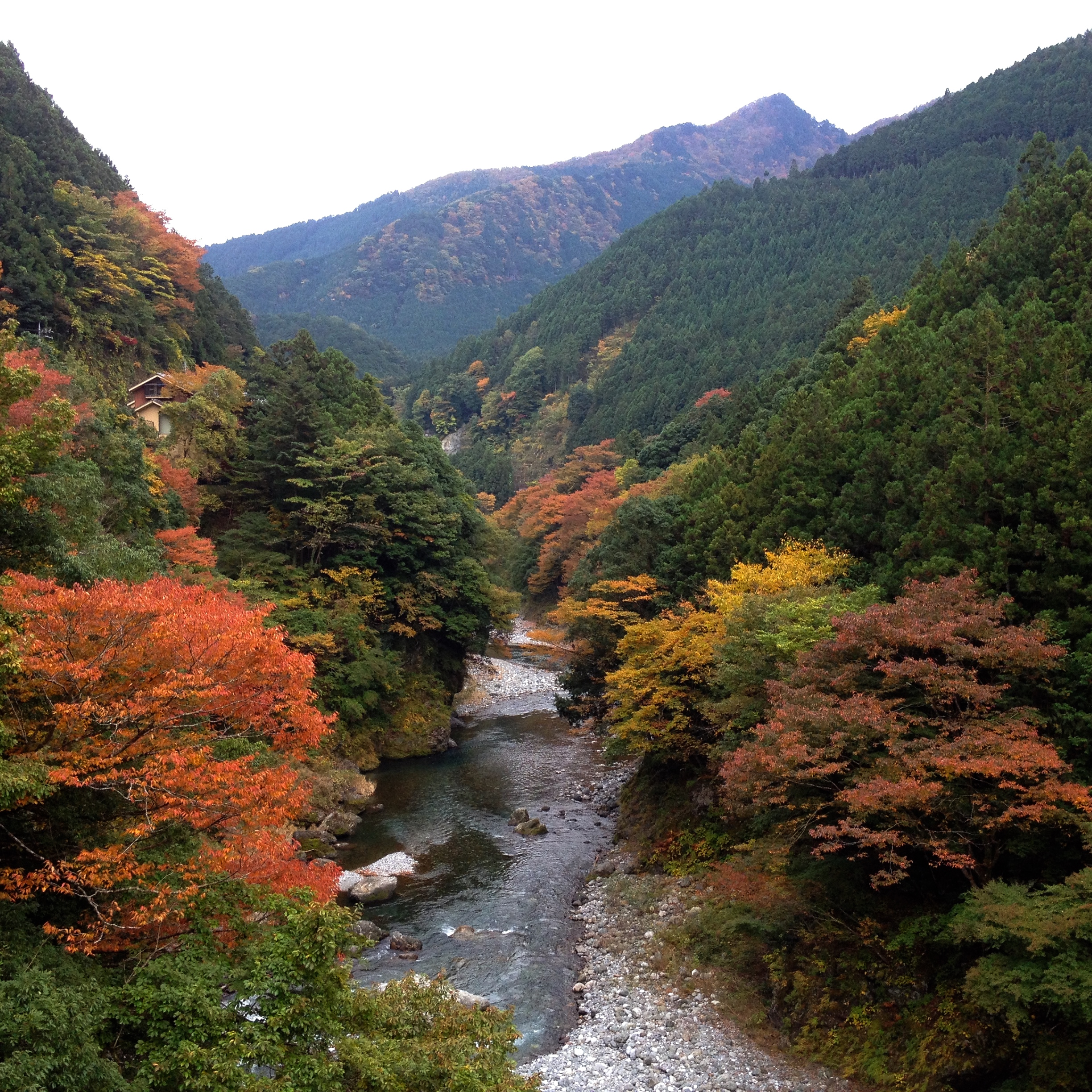 奥多摩氷川キャンプ場 | 新緑、紅葉、川遊びで360°大自然を満喫 – 東京撮影スポット