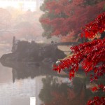 小石川後楽園 | 中華風の回遊庭園に映える紅の葉